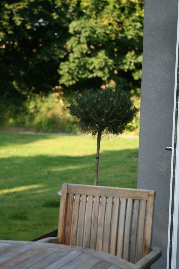 The Wendy Hoose Bed and Breakfast Nairn Esterno foto