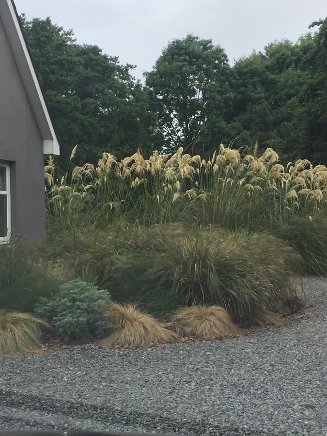 The Wendy Hoose Bed and Breakfast Nairn Esterno foto