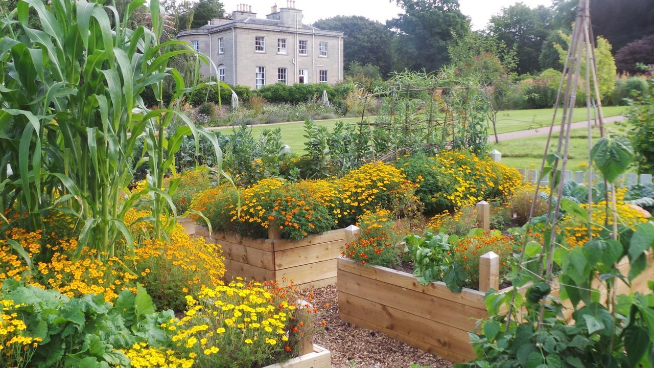 The Wendy Hoose Bed and Breakfast Nairn Esterno foto